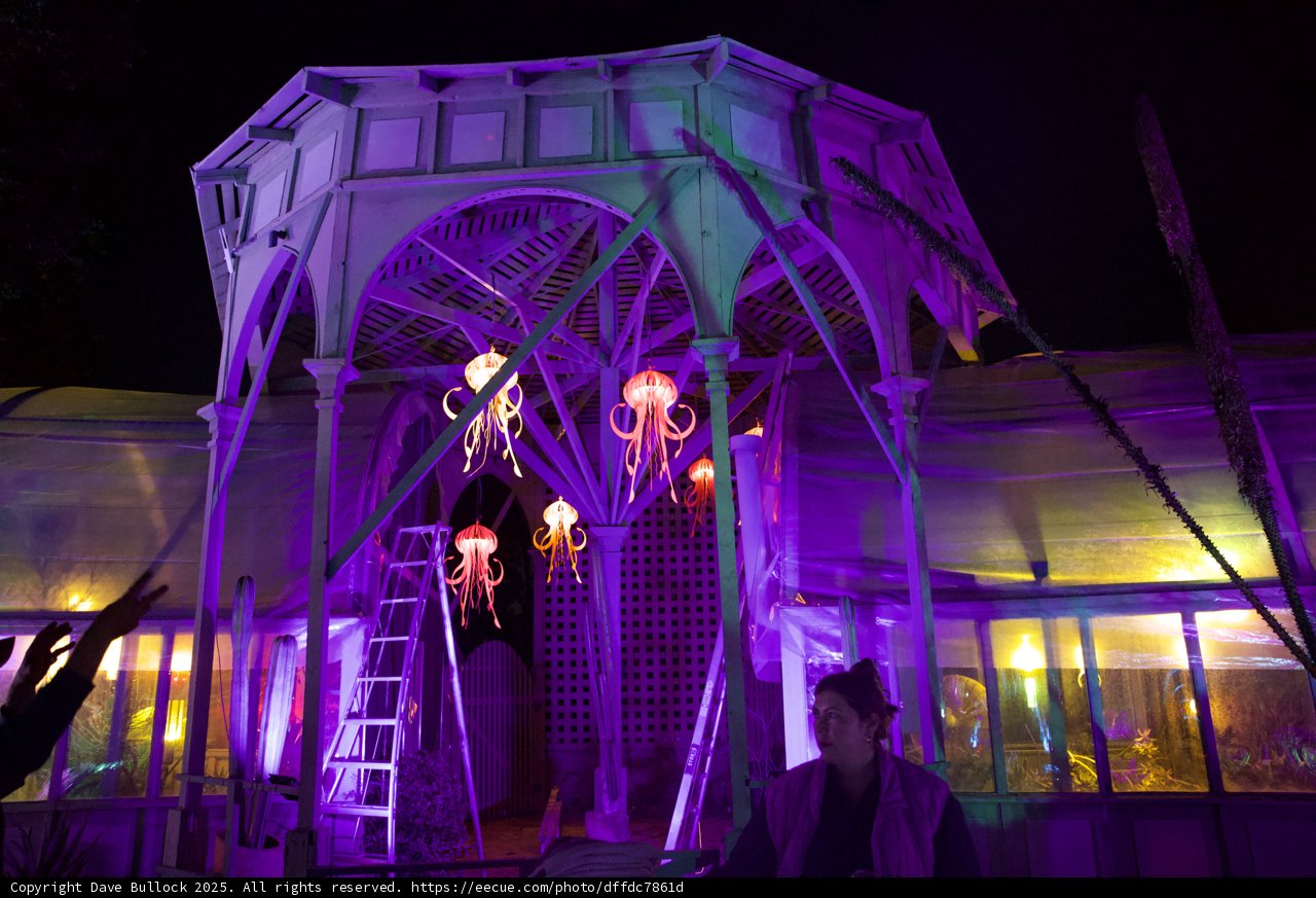 Enchanted Evenings at Garden of D'Lights