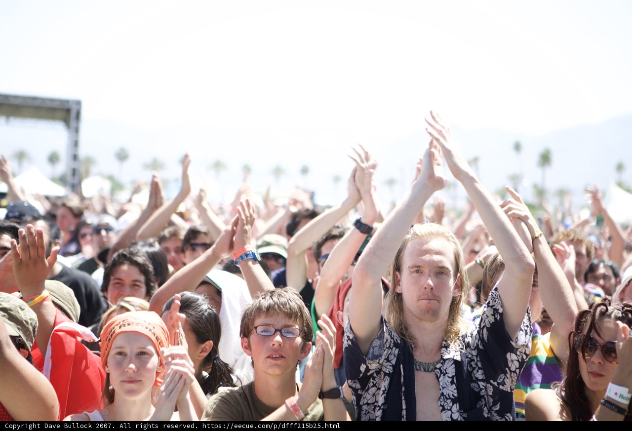 Festival Fever