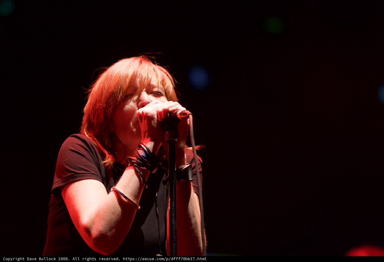 Red-haired Singer Belted Out Hits at Coachella 2008