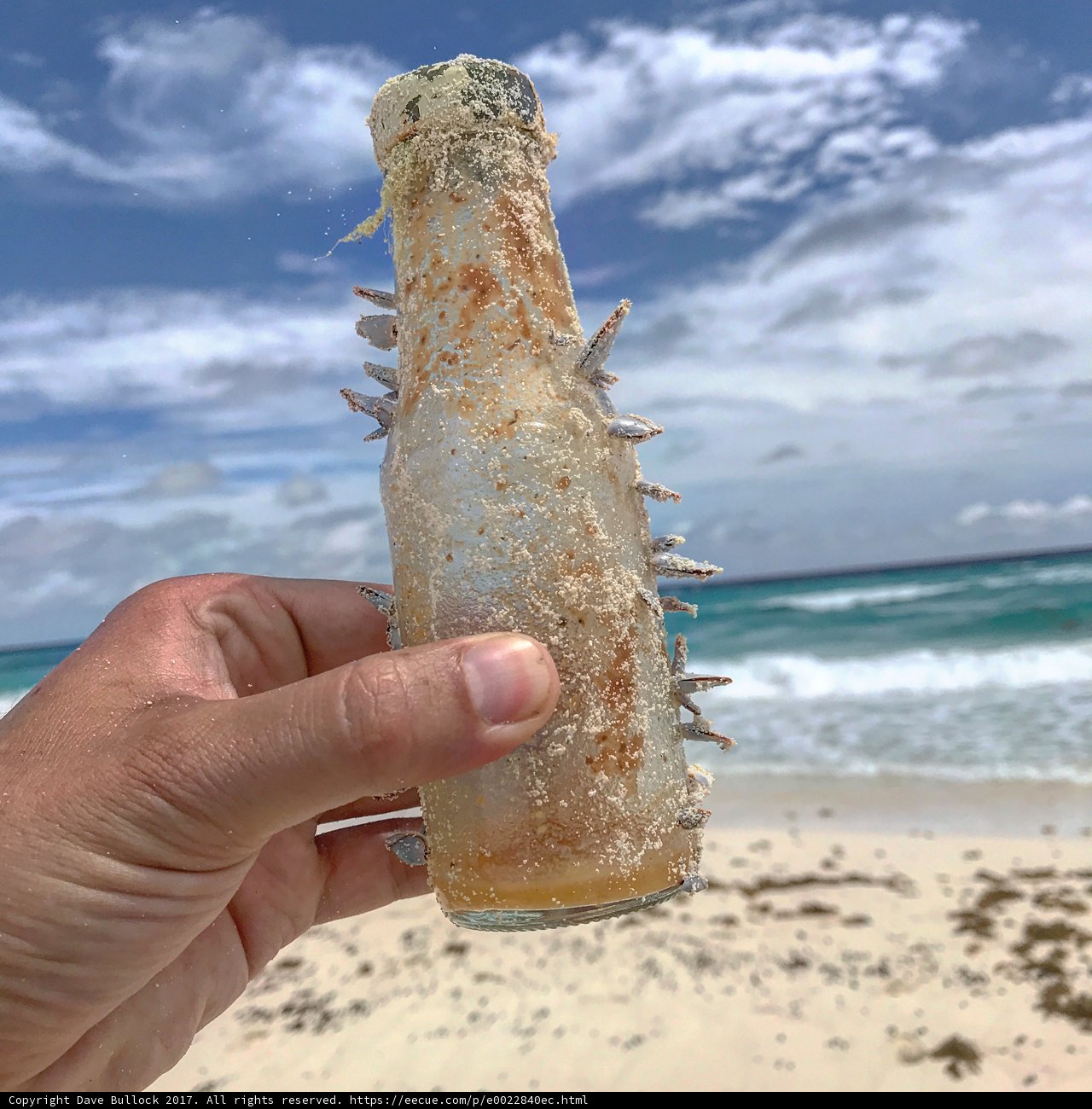 Refreshing Drink on Cancun Beach