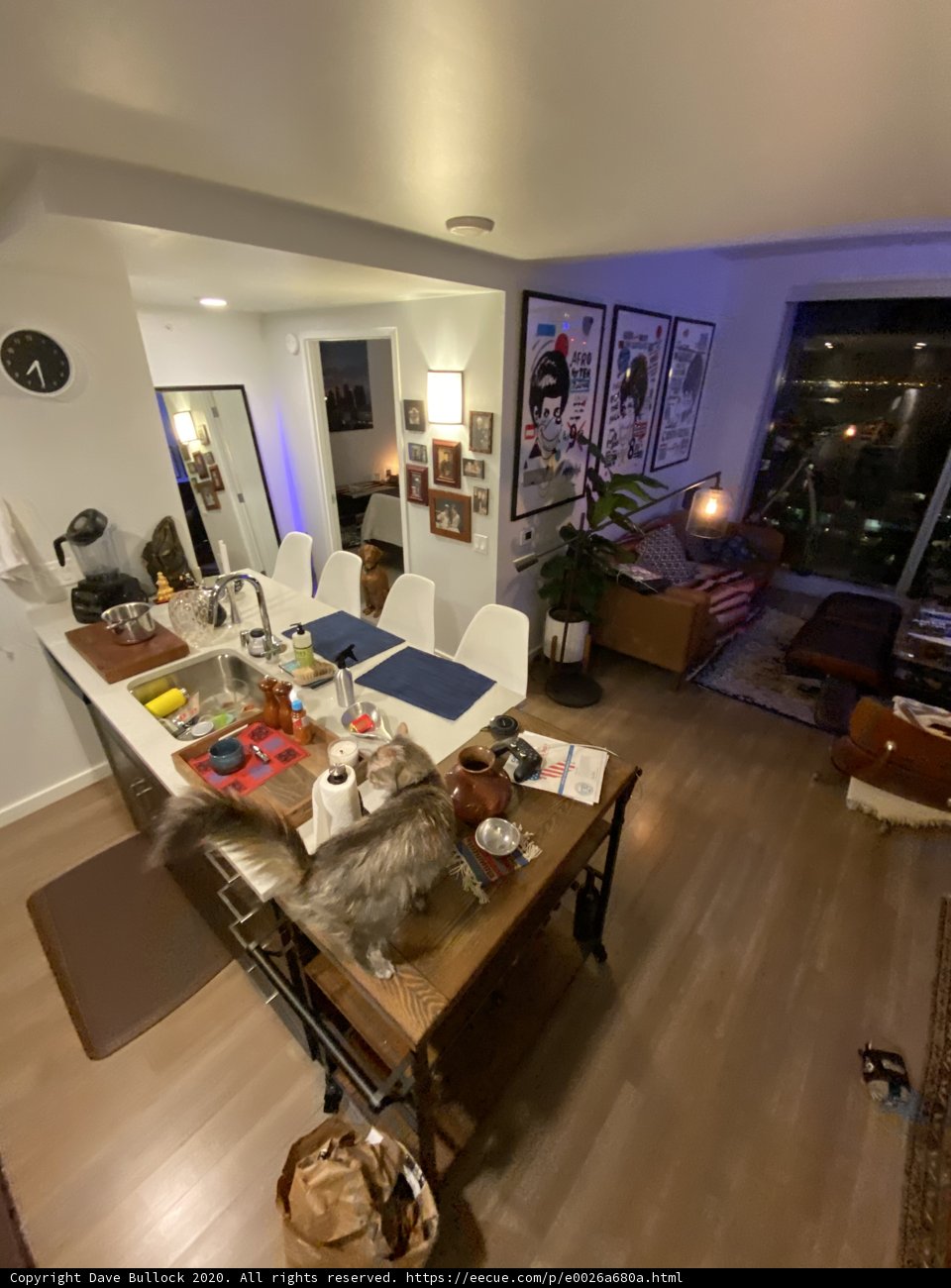Feline in the Kitchen Caption: This cozy San Francisco kitchen is home to a curious feline who loves to perch on the counter and observe the goings-on of her human's daily routine.