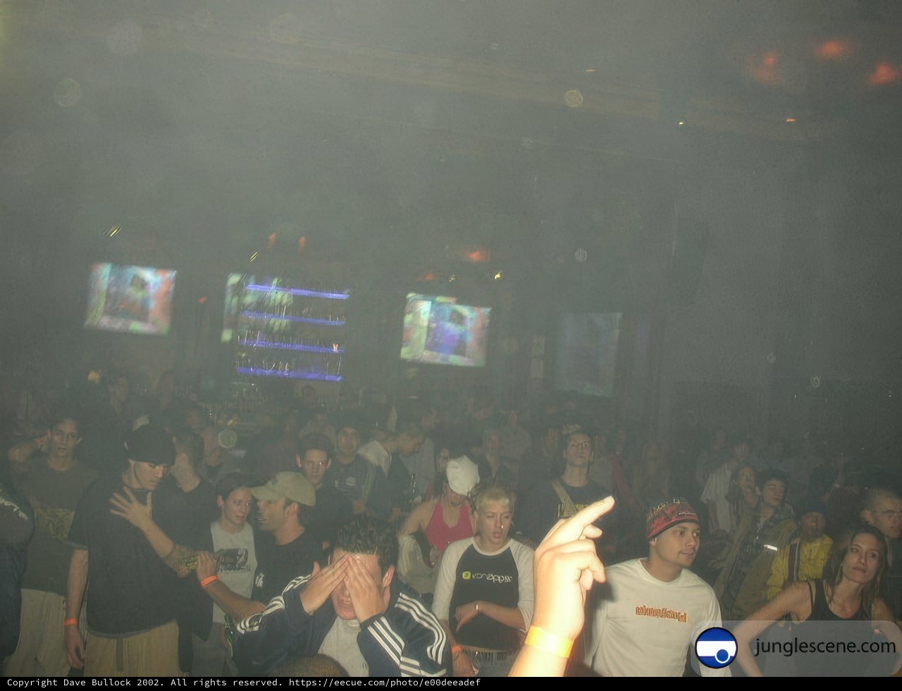 Nightclub Vibes