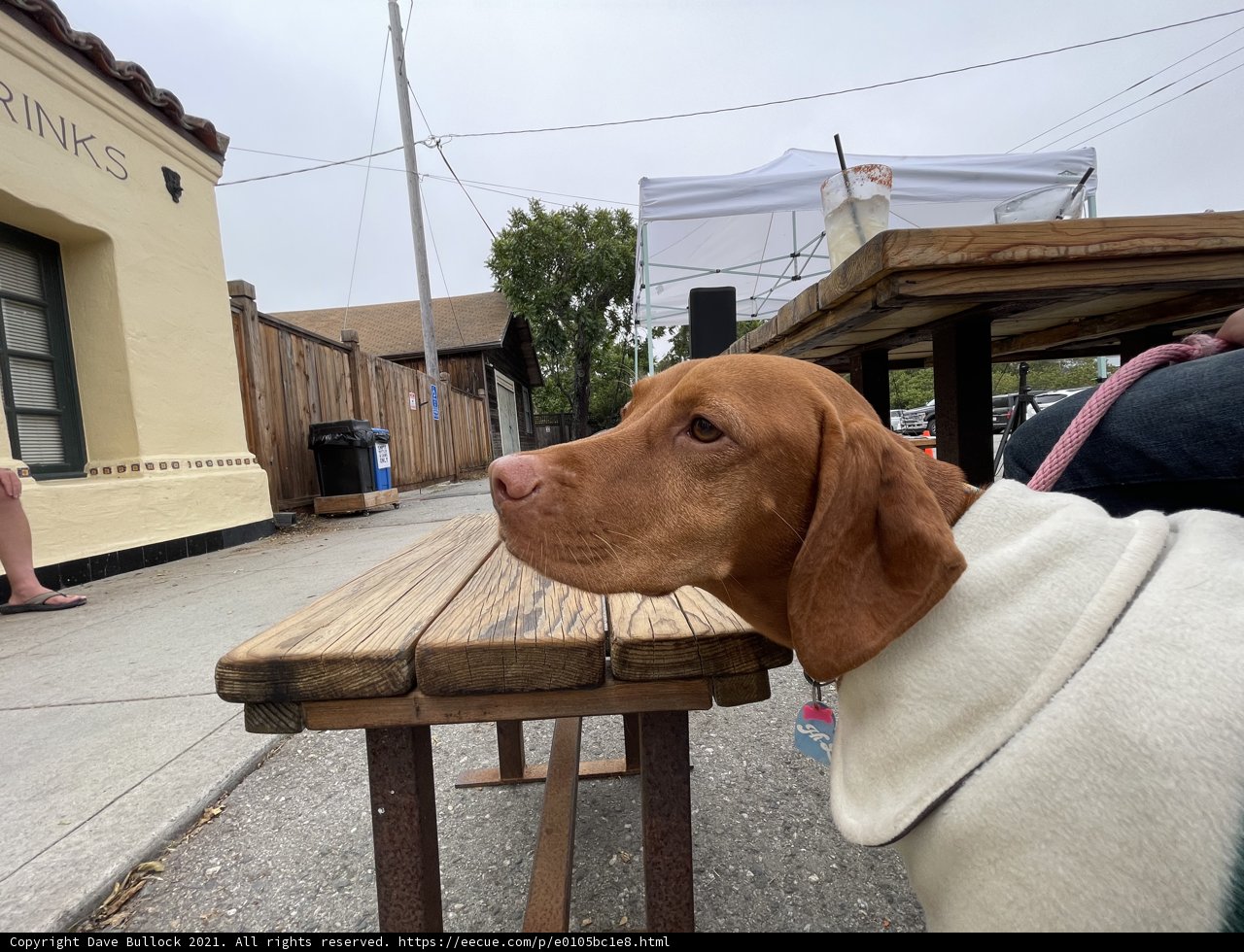 Shelter on the Bench