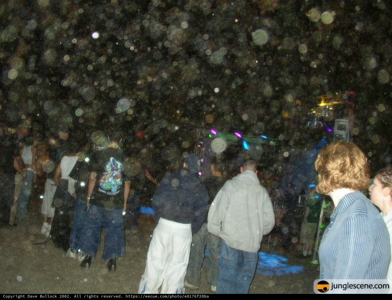 Nighttime Gathering