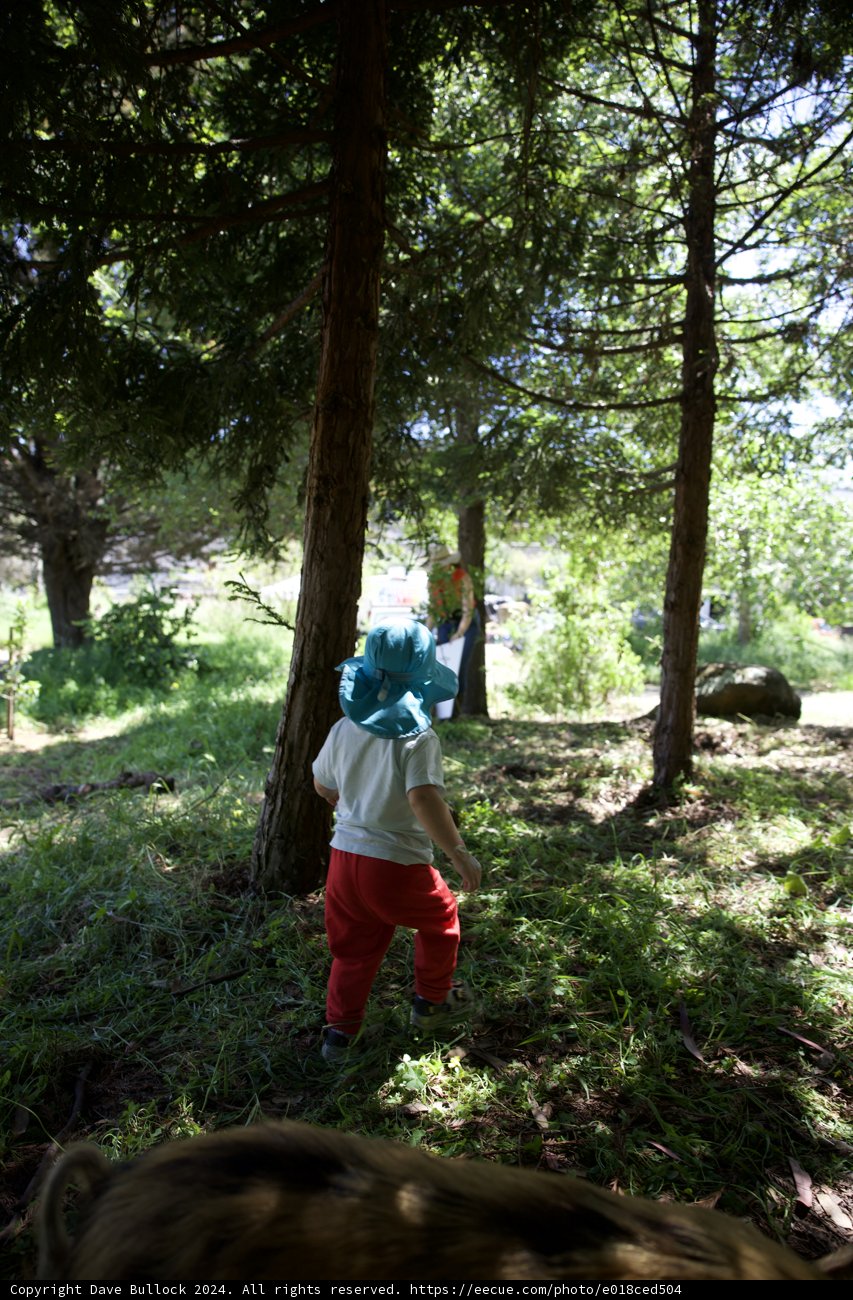 Exploring Nature: Earth Day Celebration at Alemany Farm