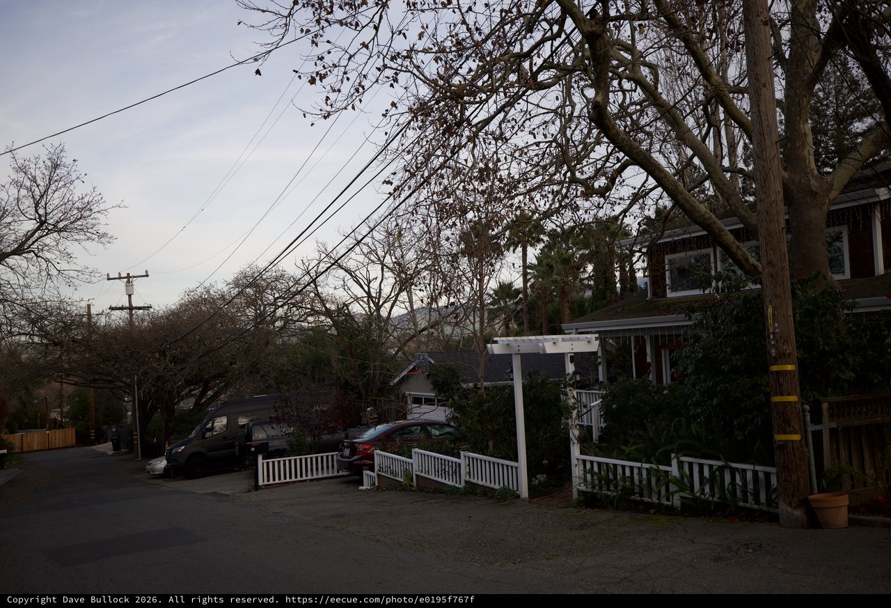Quiet Residential Street at Dusk with Bare Trees