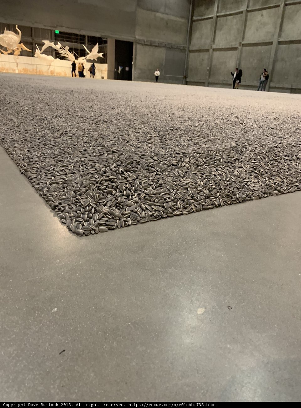 Grandeur of the Carpet