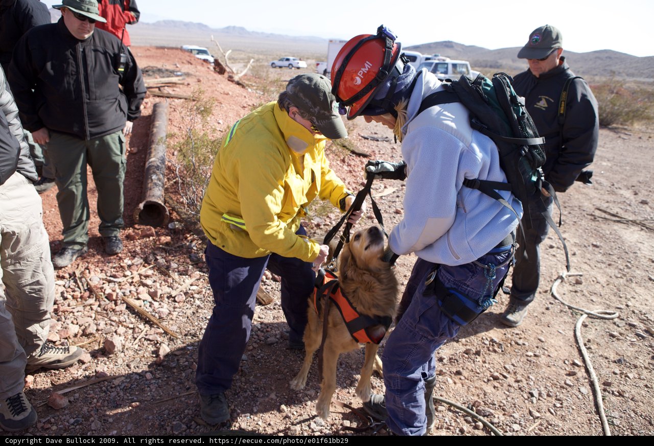 Man and Dog on a Dirt Road during Mine Rescue Mission