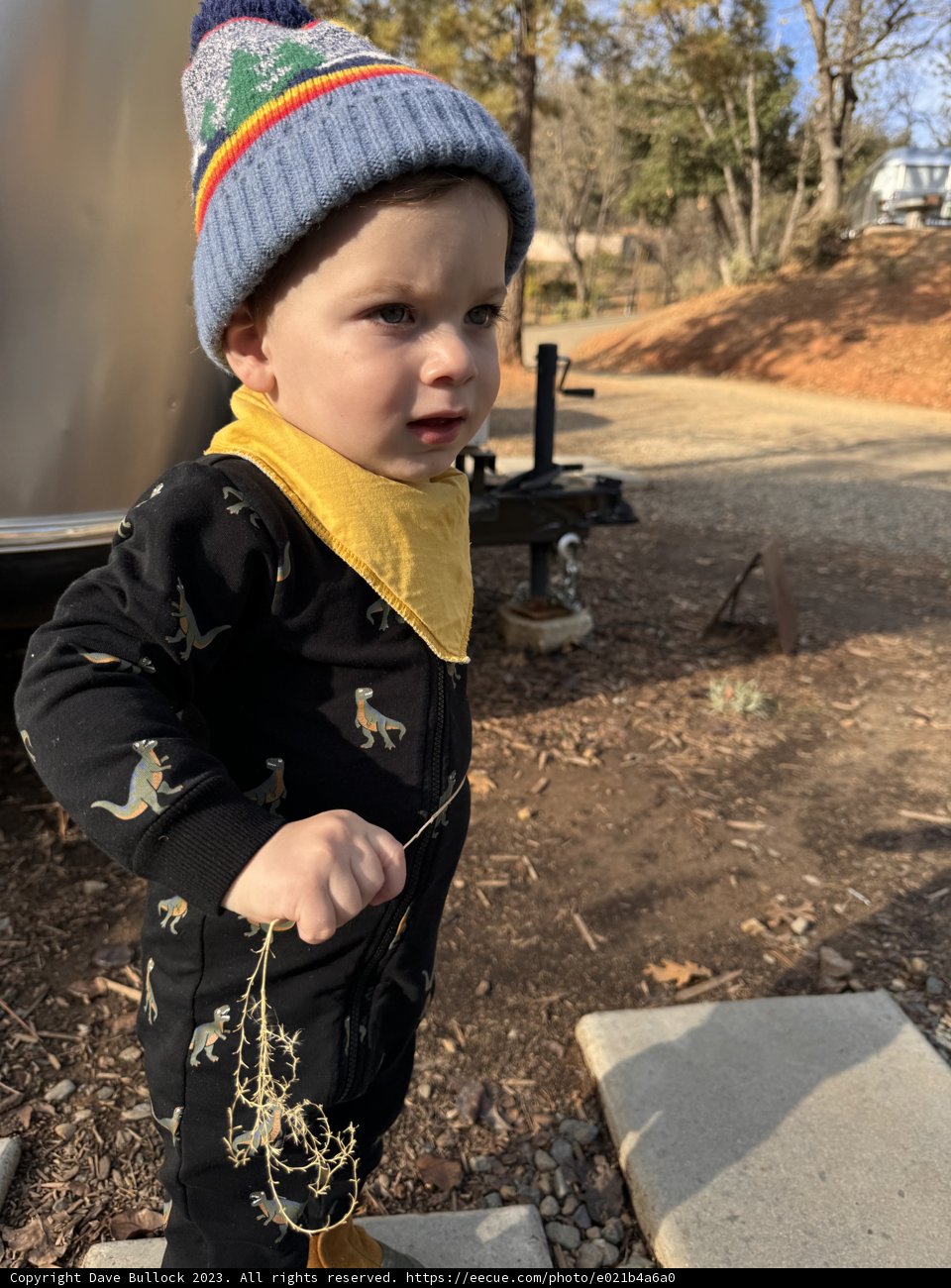 Playful Moments with Wesley in December 2023