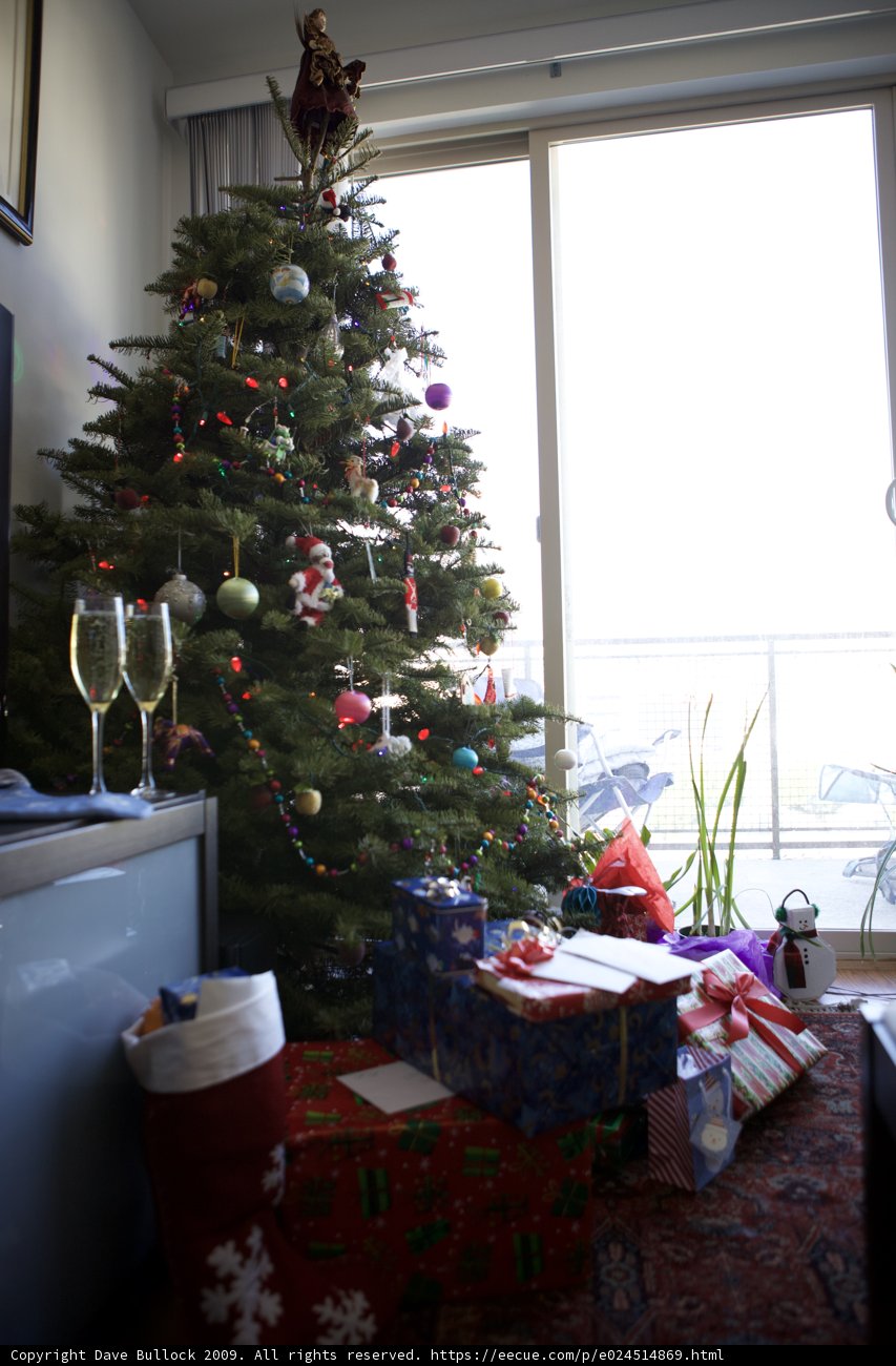 A Festive Fir Tree in a Cozy Living Room