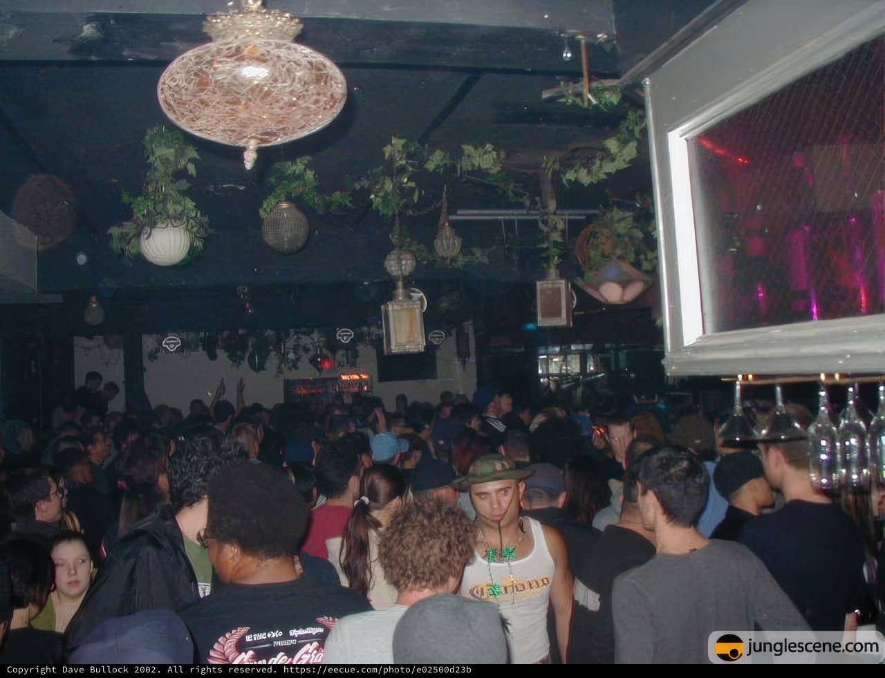 Nightclub Party