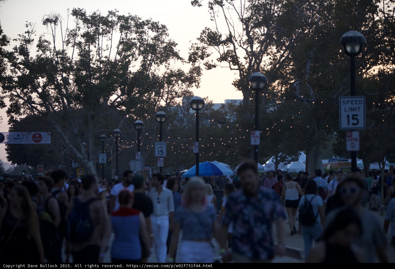 Evening Festival Crowd