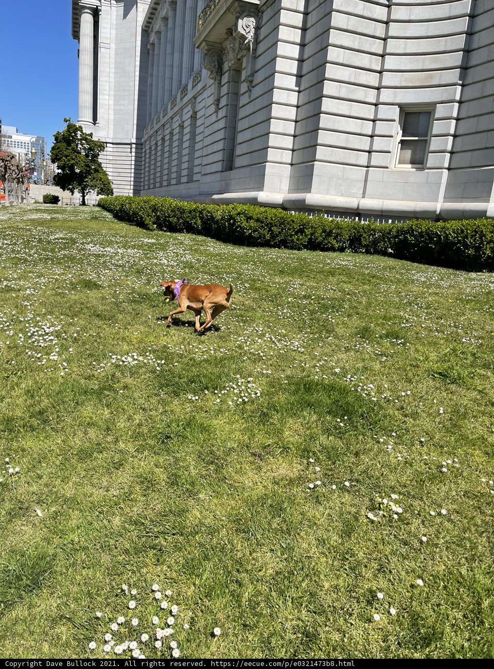 Playtime in the City