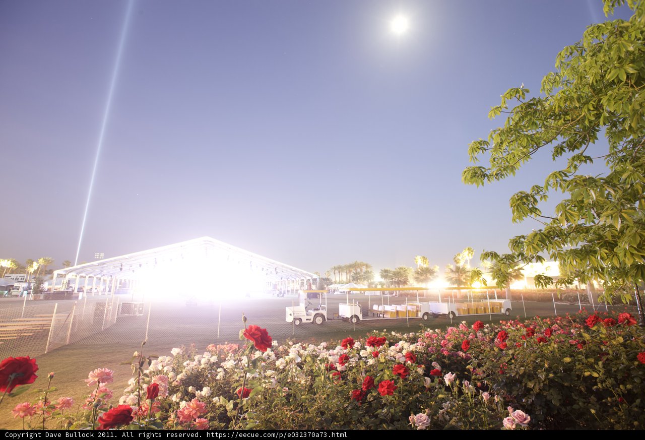 Blooming Landscape with a Majestic Setting