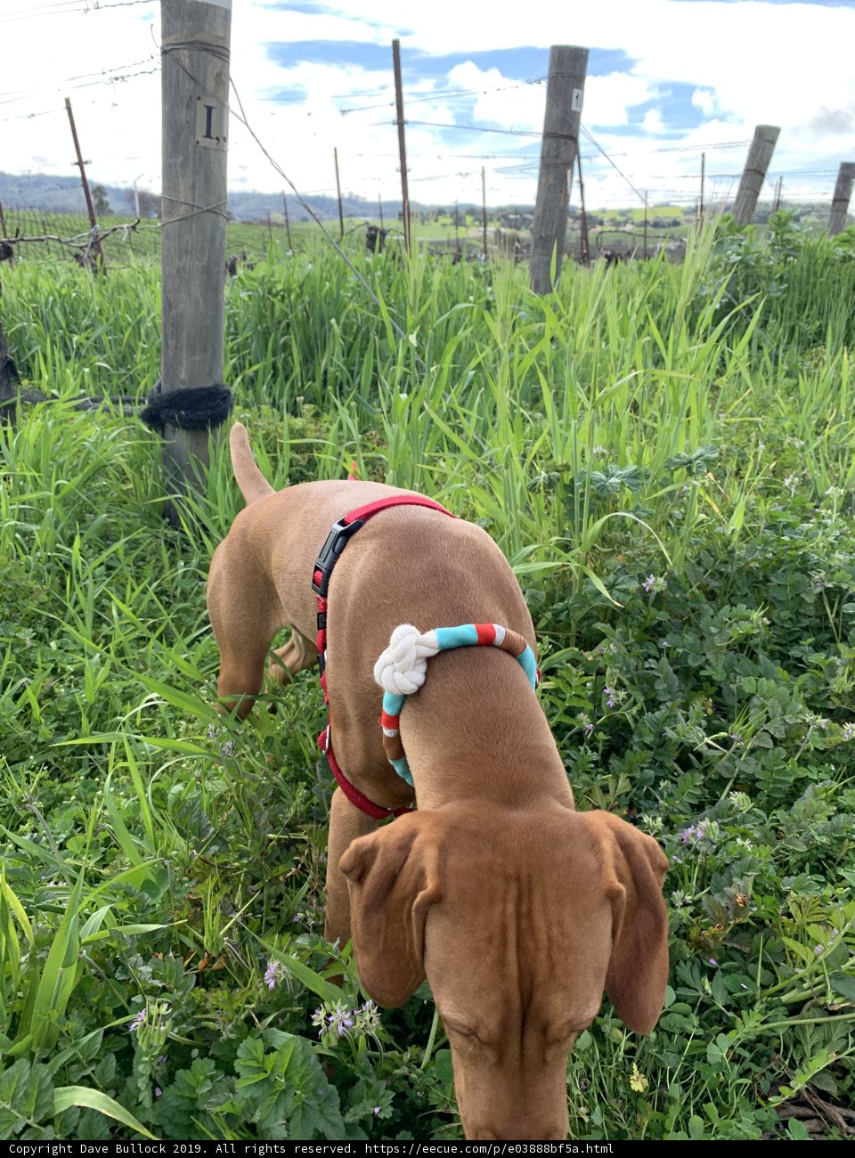 Field Exploration