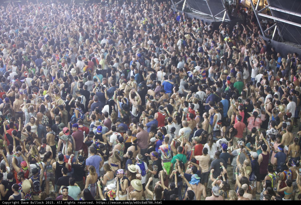 The Massive Crowd Grooving to the Beat