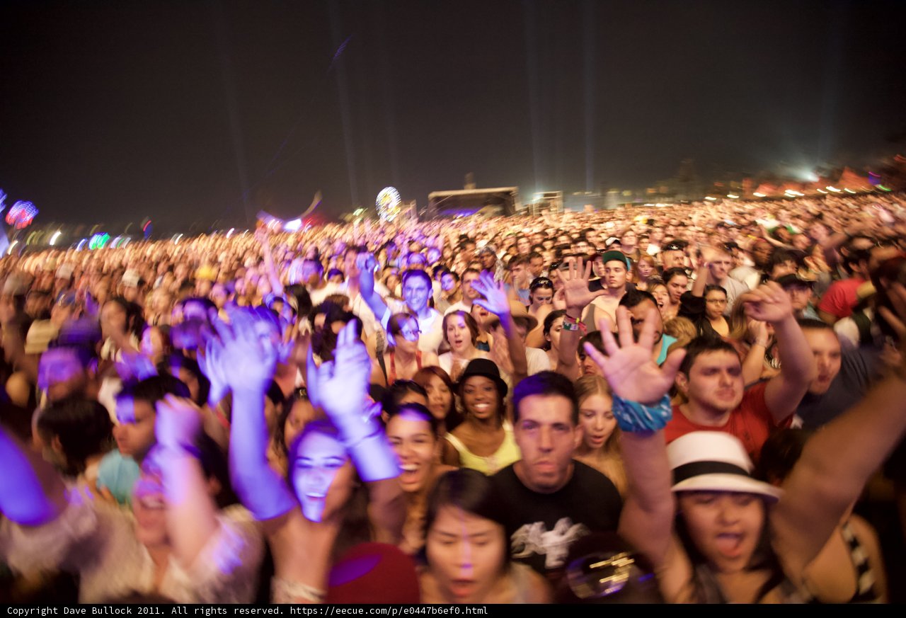 Coachella Nights