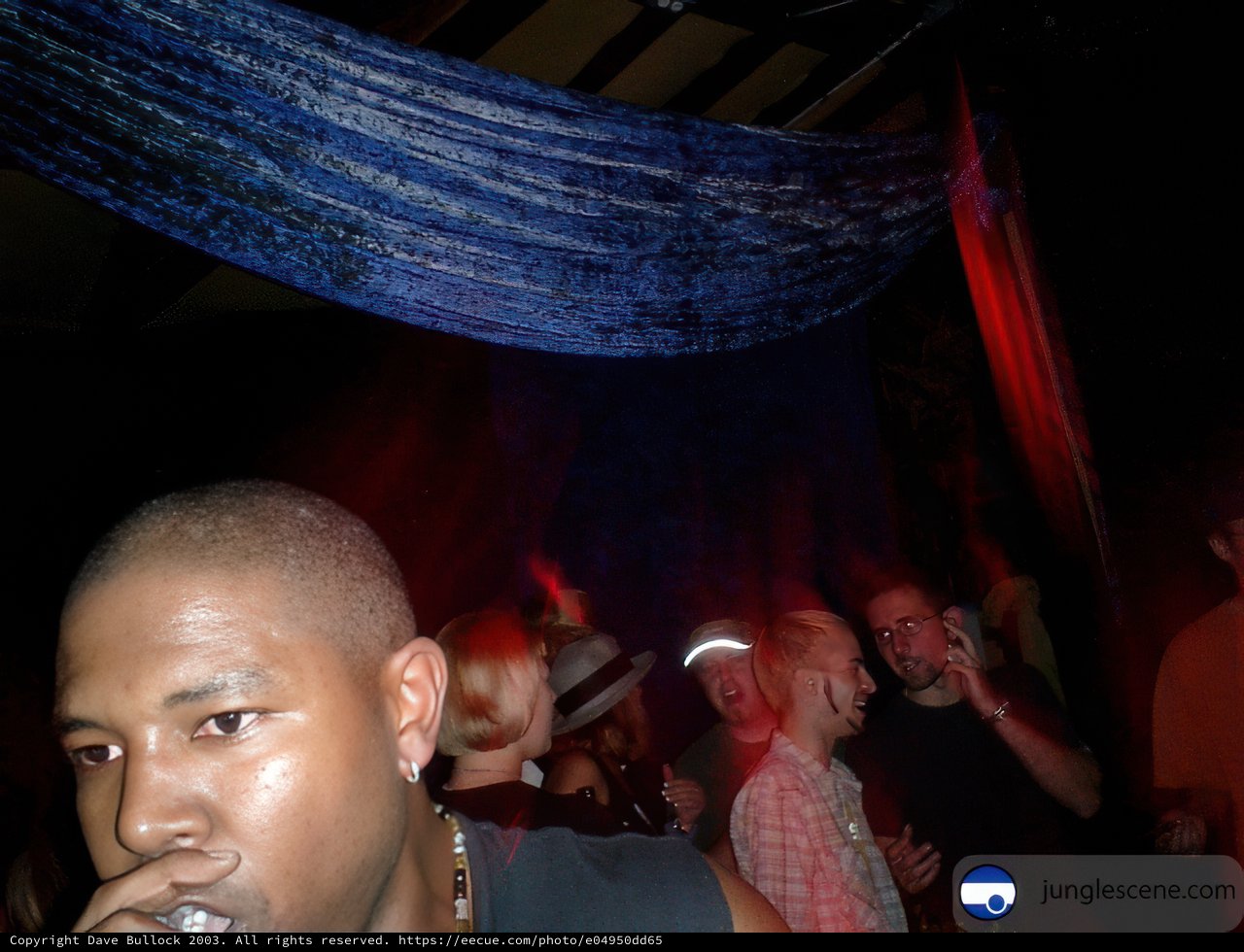 Nightclub Gathering