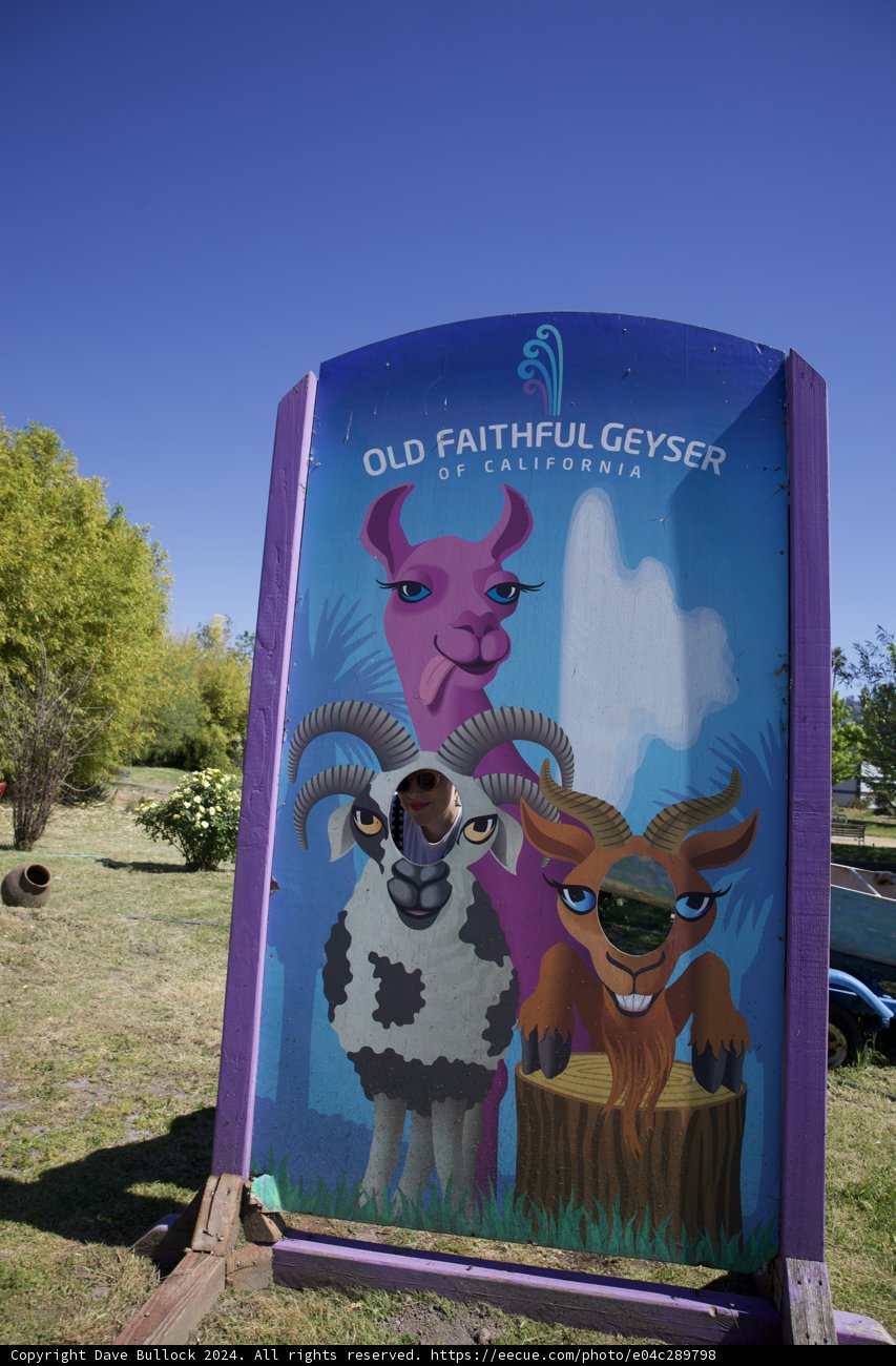 Playful Portraits at Old Faithful Geyser of California