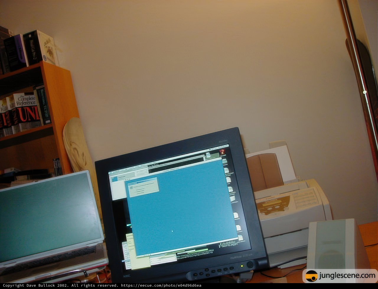 Dual Monitors for Efficient Work