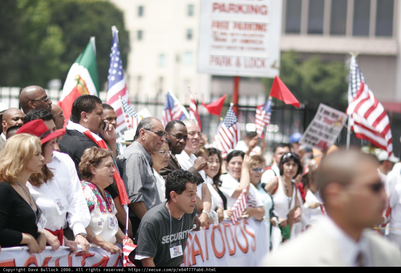 Wedding Protest Parade