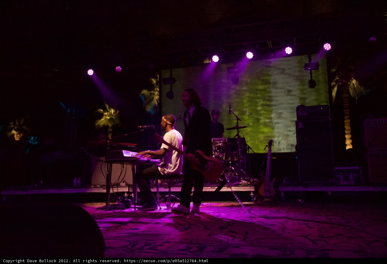 Rocking Out Under Purple Lights
