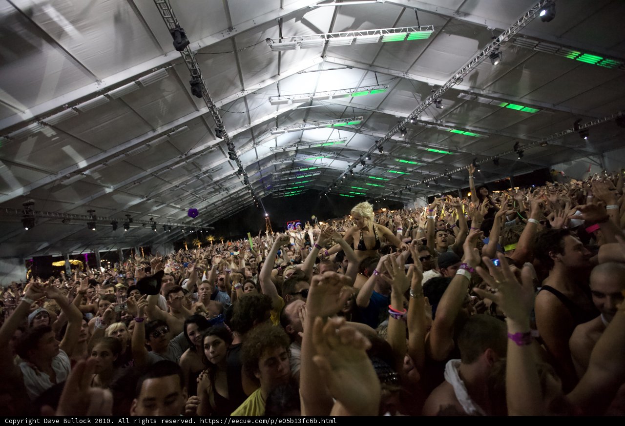 Coachella Crowd Goes Wild