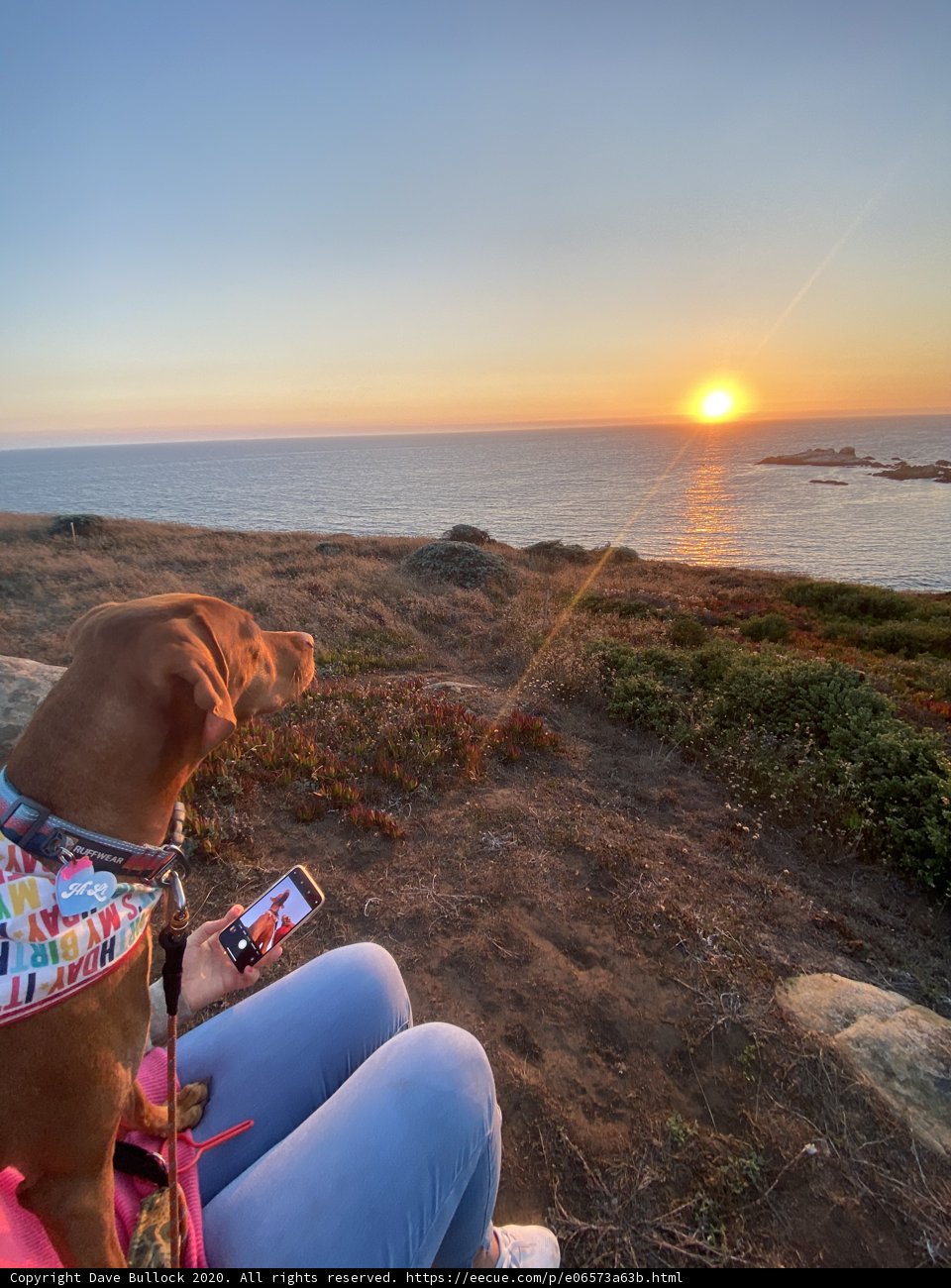 Hilltop Sunset Watcher