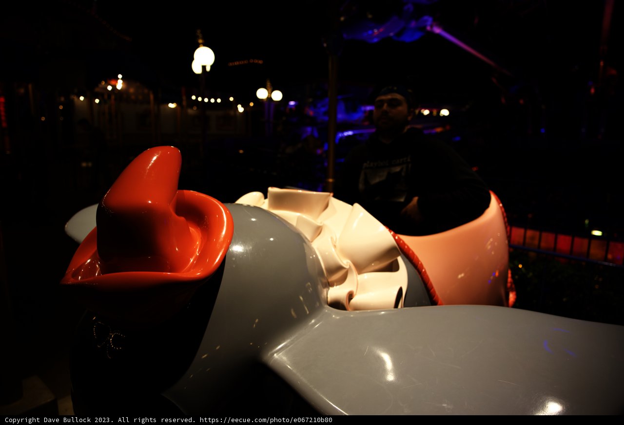 Midnight Elephant Ride at Disneyland
