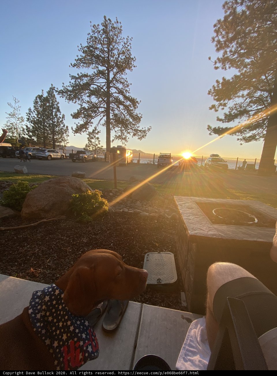 Man's Best Friend Watching the Sunset