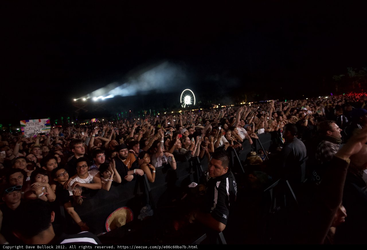 Rockin' under the Night Sky