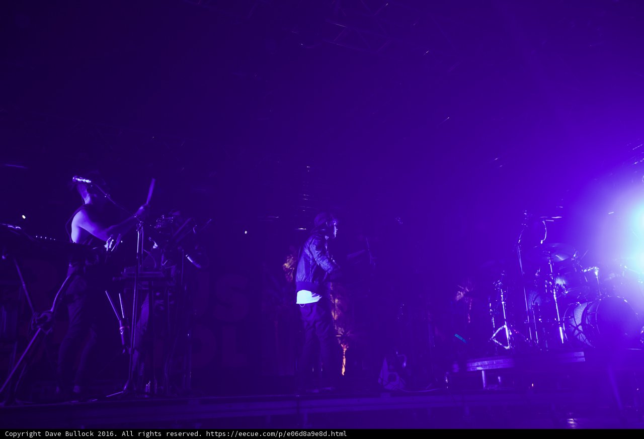 Purple Haze Performance