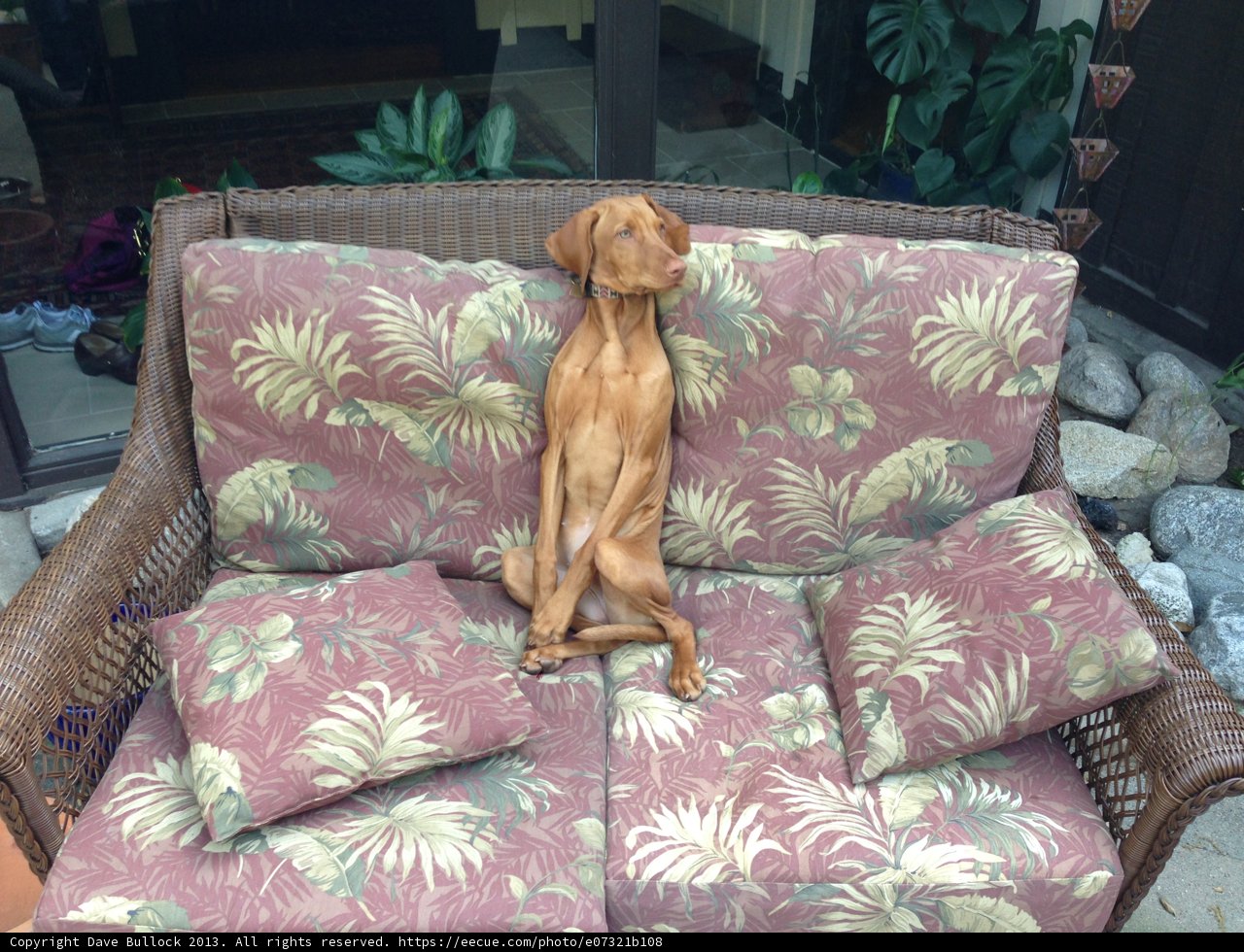 Couch Companion