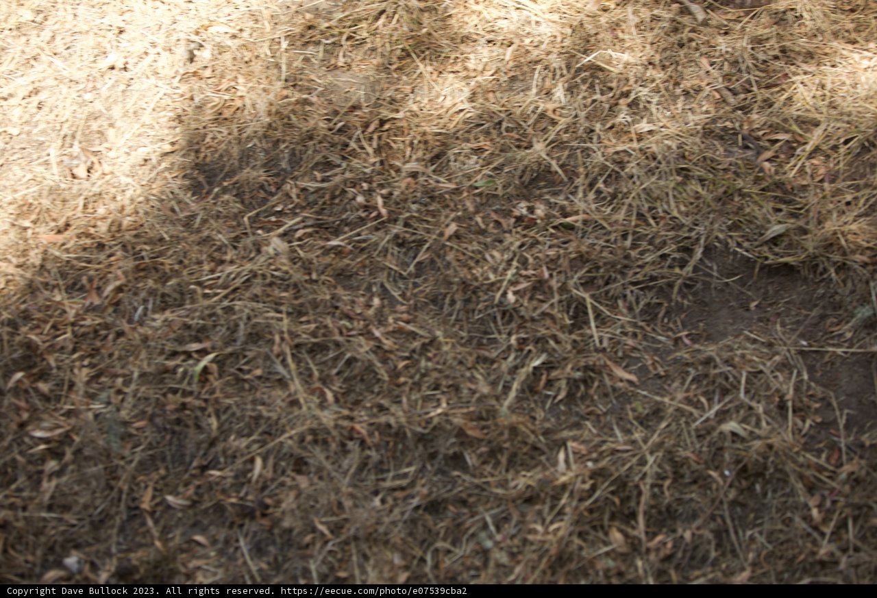 Nature's Footprint at San Francisco Zoo & Gardens