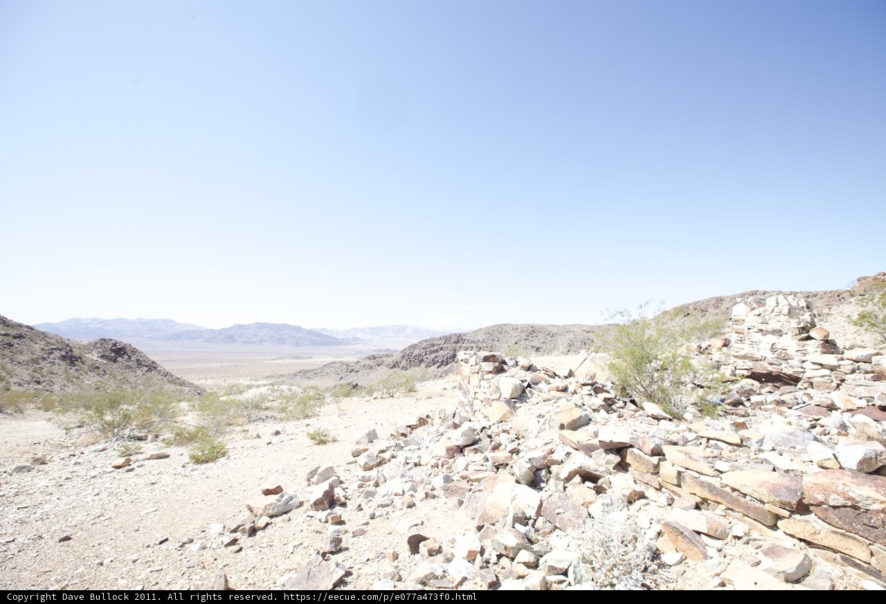 Outstretched in the Desert