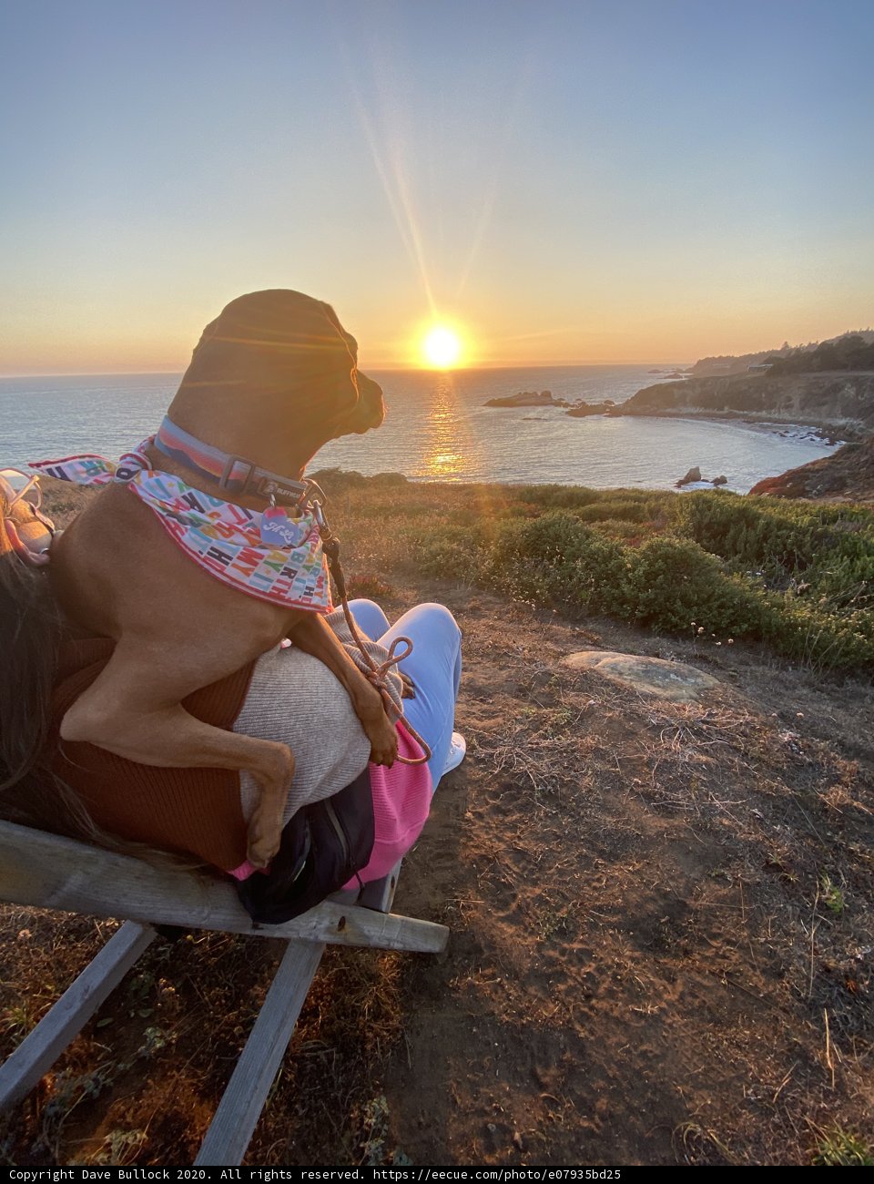 Sunset Serenity with Man's Best Friend