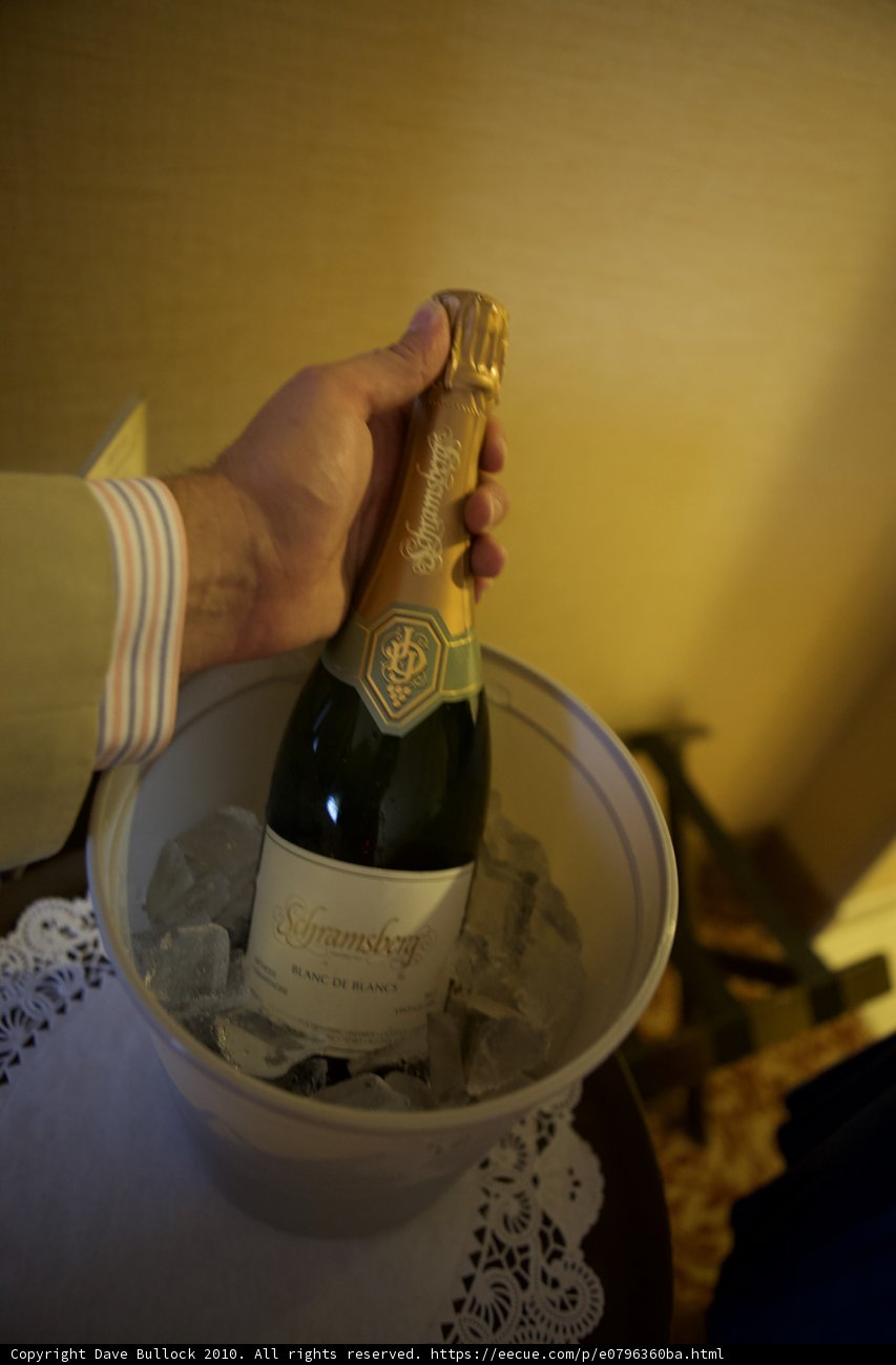Celebrating with Bubbly