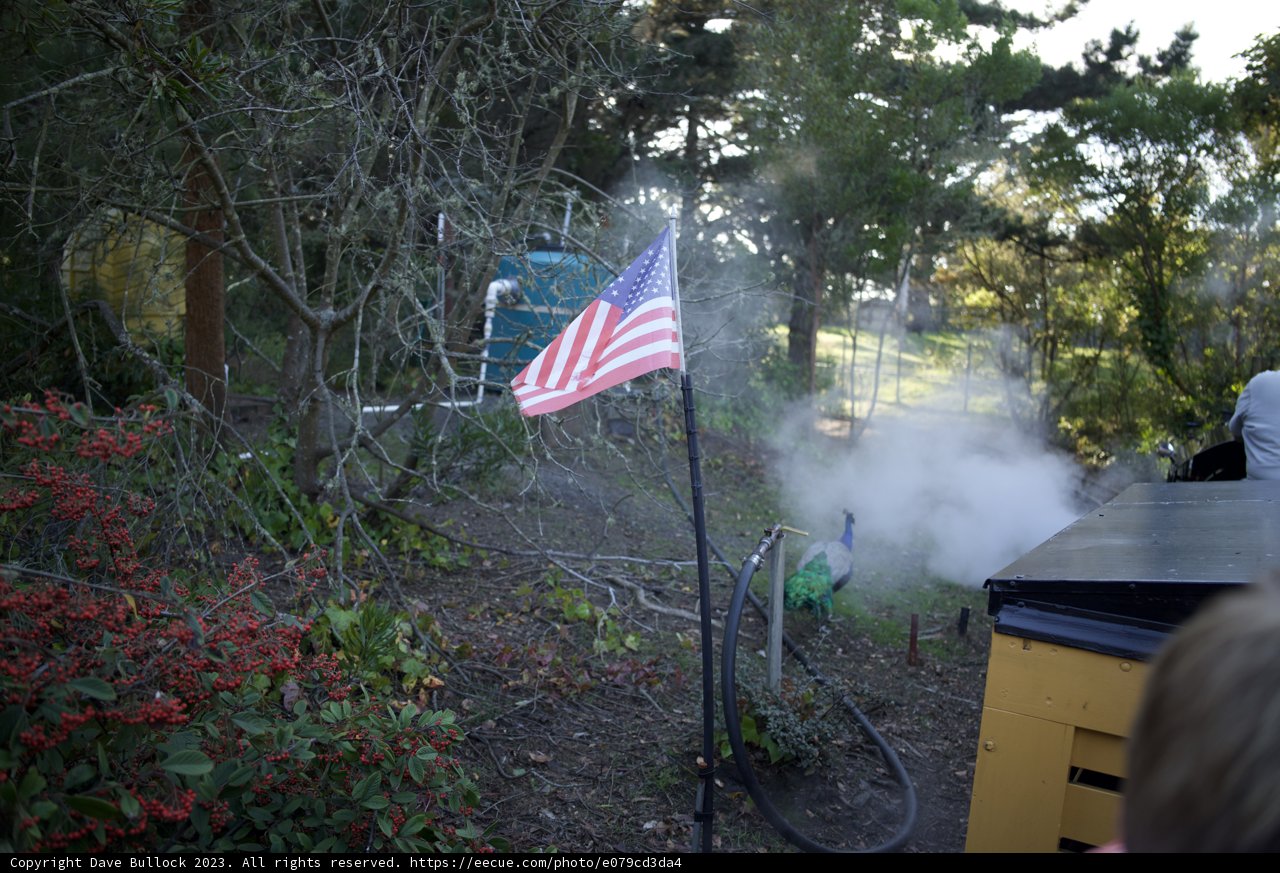 Patriotic Express at SF Zoo