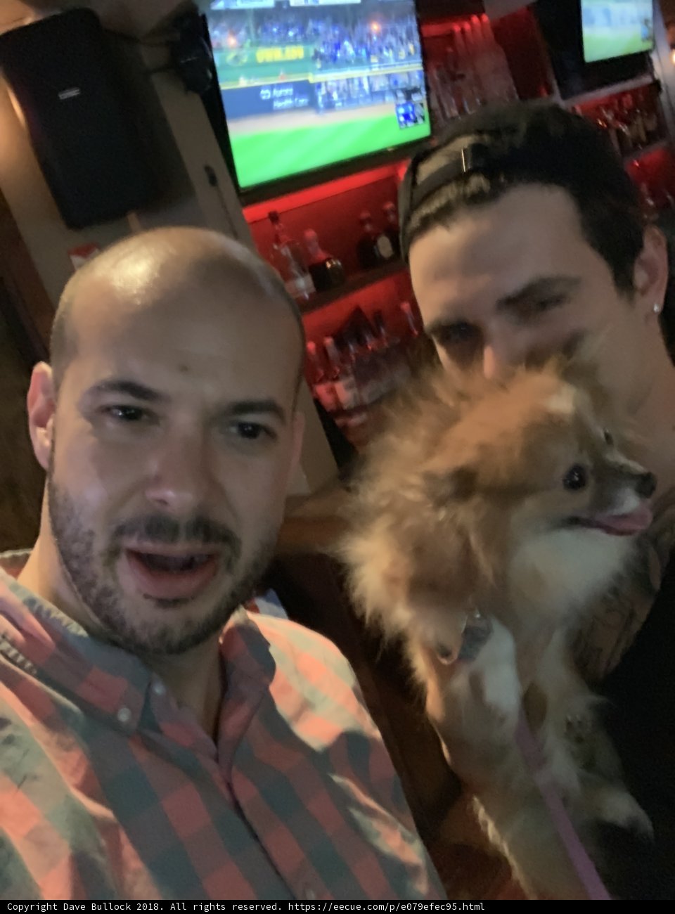 Pals and Pups Night Out