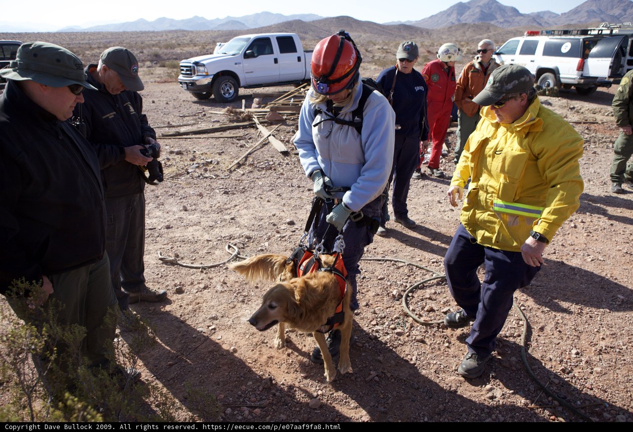 Yellow Jacket Rescuer