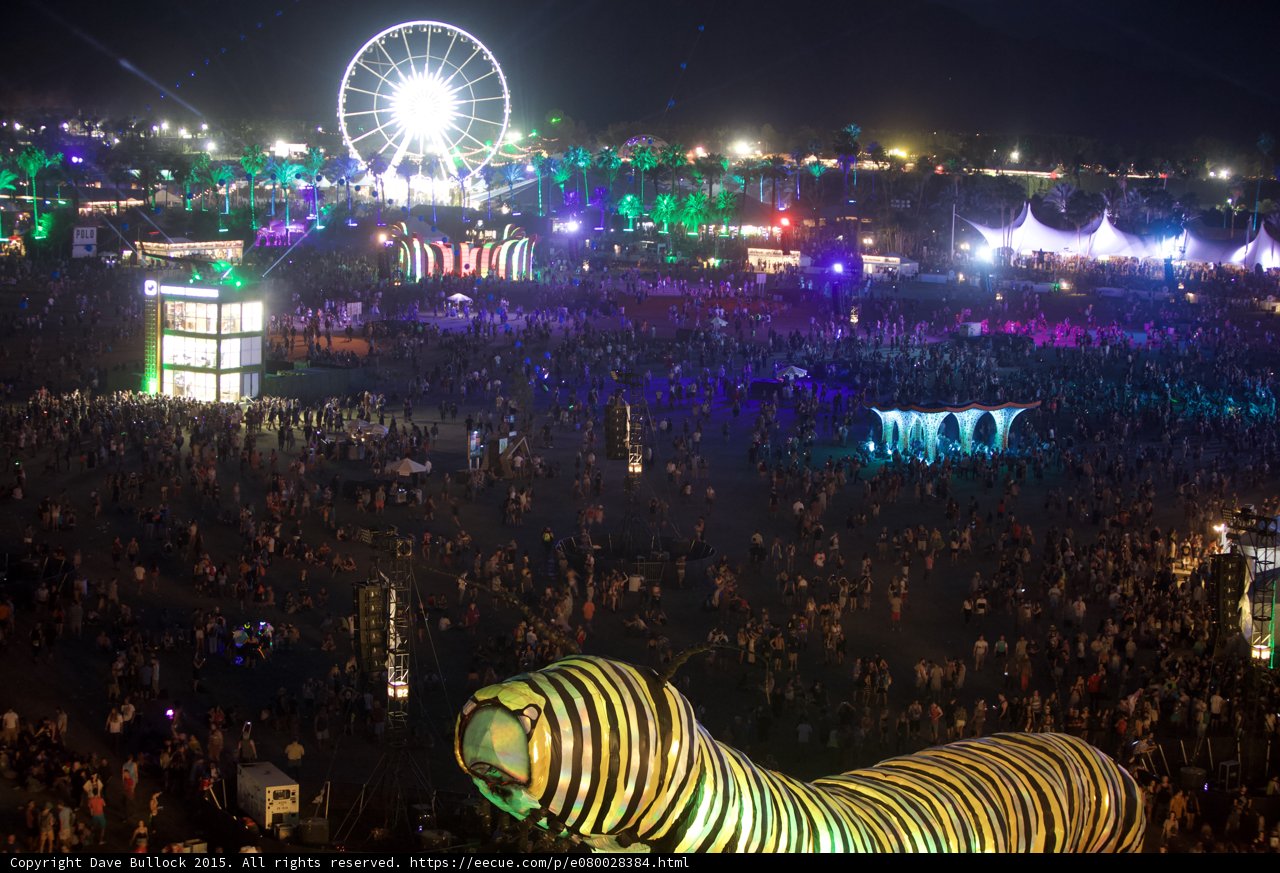 Ferris Wheel Fun at Coachella