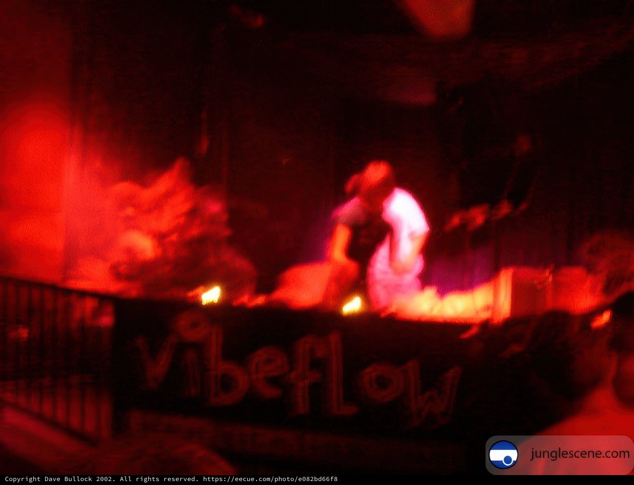 Vibeflow Takes the Stage at Night Club Concert