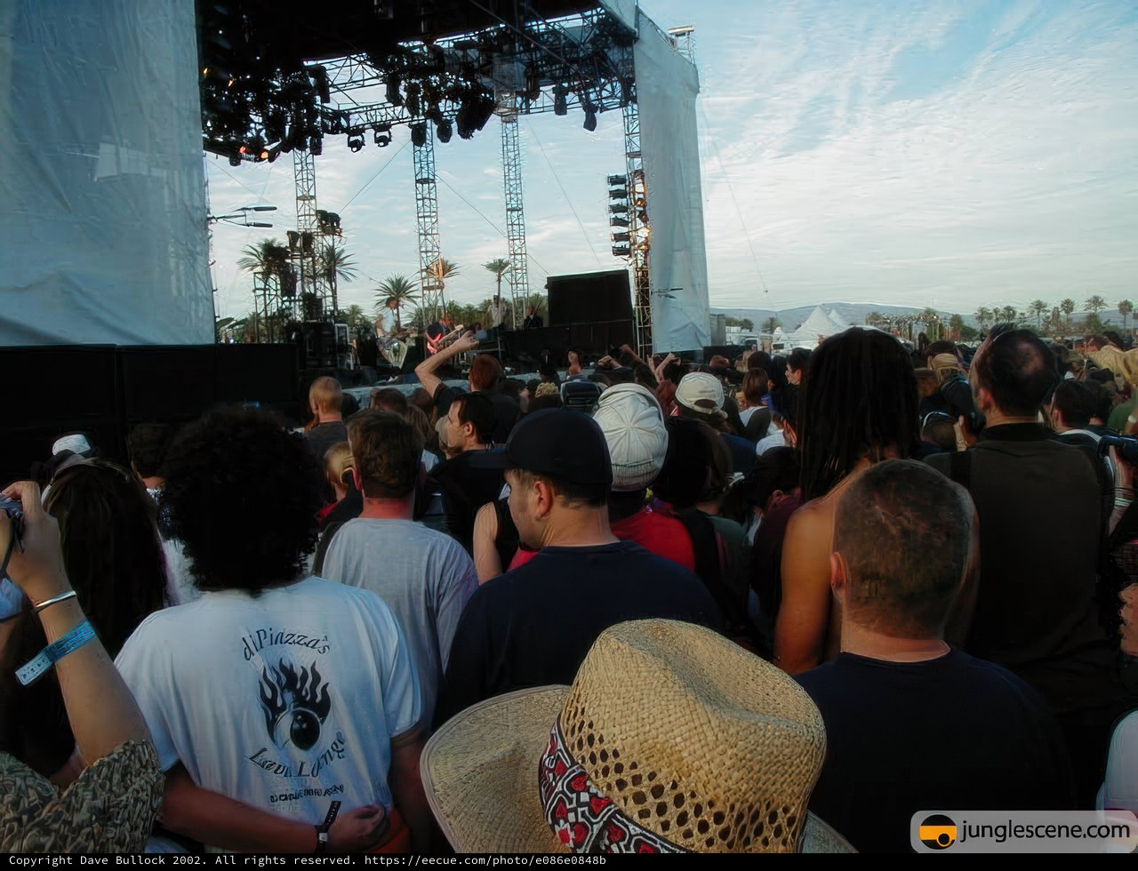 Coachella Crowd Goes Wild