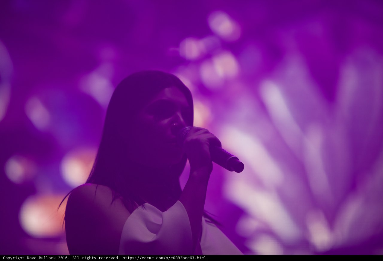 Solo Performance under Purple Lights