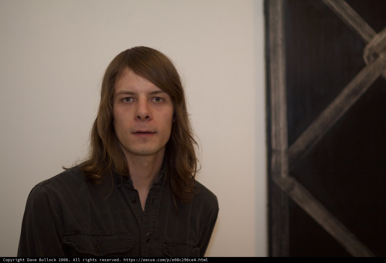A Portrait in front of Plywood Art