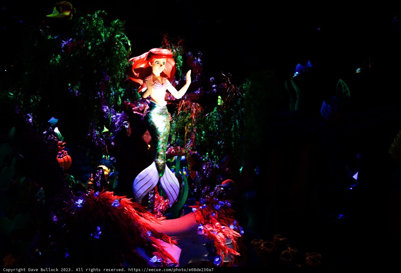 Enchanting Night at Disneyland