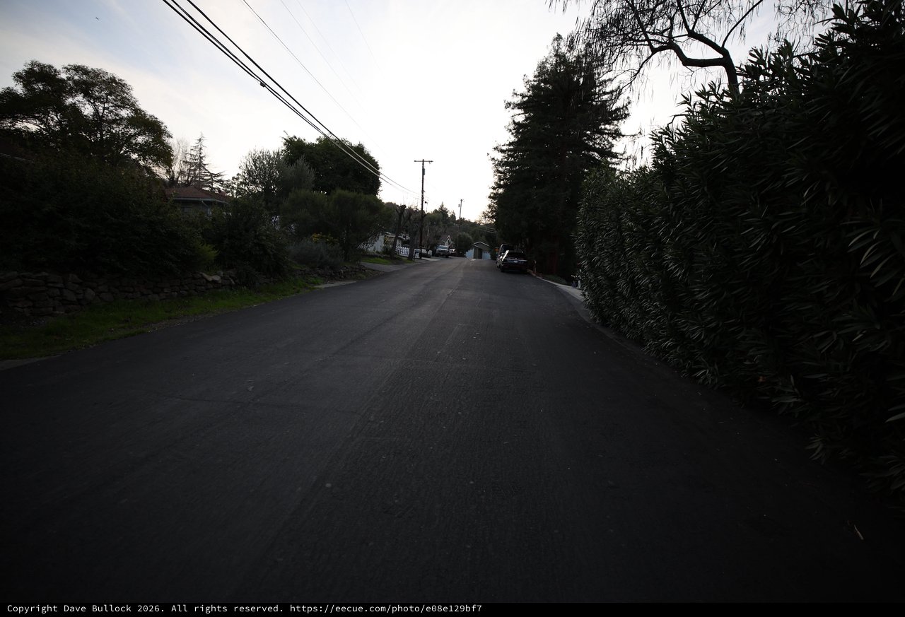 Quiet Residential Street at Dusk with Overhead Power Lines