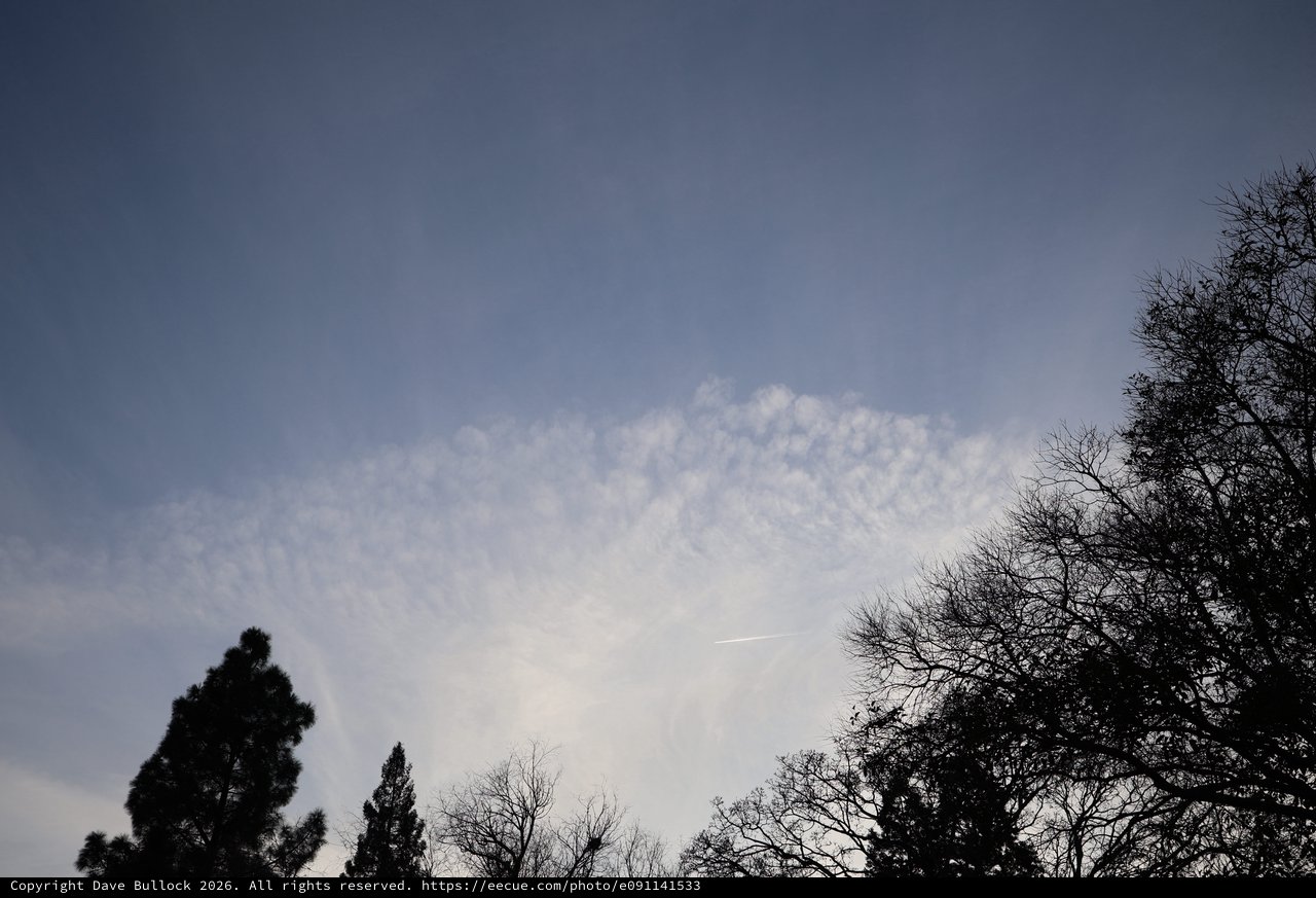 Twilight Sky with Silhouetted Trees and Wispy Clouds
