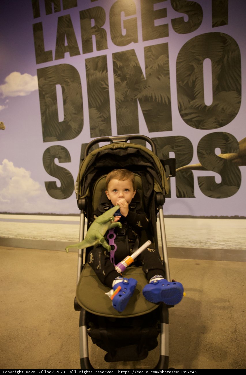 Wesley's Dinosaur Adventure at Golden Gate Park