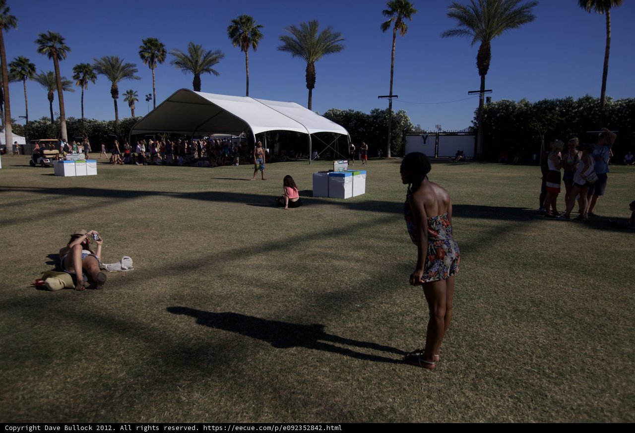 Summer Camping under the Palm Trees